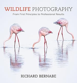 Wildlife Photography