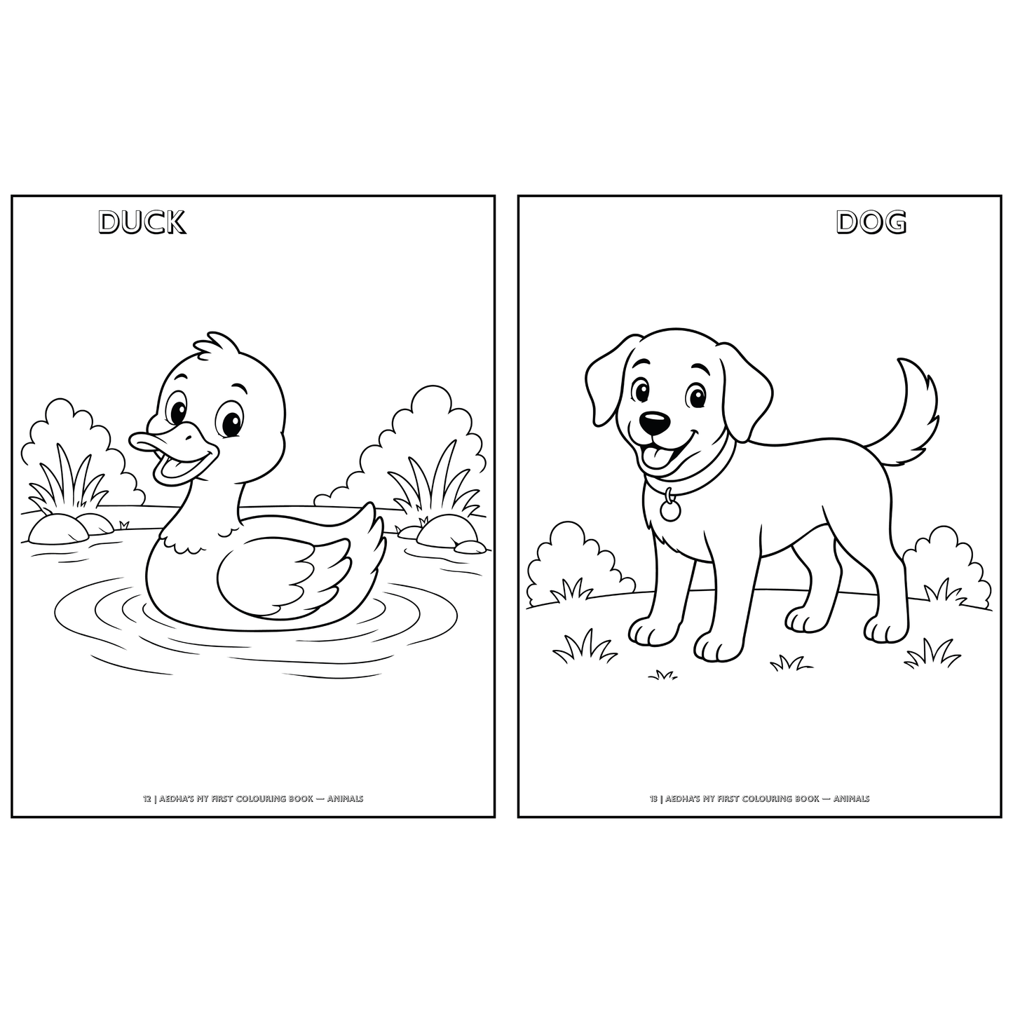 My First Colouring Book – Animals