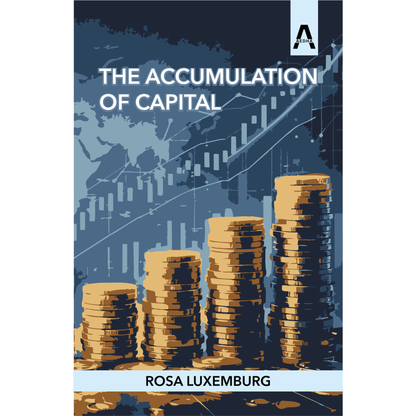 The Accumulation of Capital